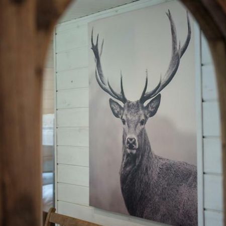 Chalet Le Grand Cerf Bullange Luaran gambar
