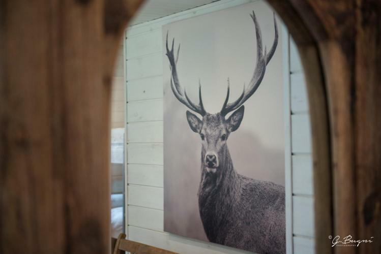 Chalet Le Grand Cerf Bullange Luaran gambar