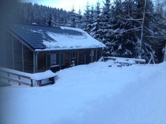 Chalet Le Grand Cerf Bullange Luaran gambar